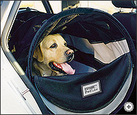 Labrador in a Pet Tube Labrador in a Pet Tube
